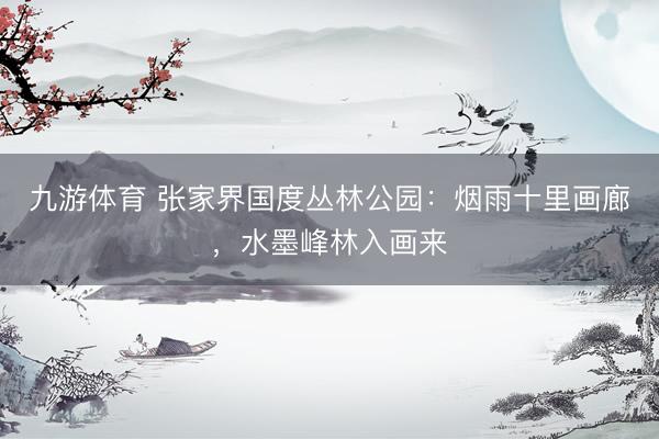 九游体育 张家界国度丛林公园：烟雨十里画廊，水墨峰林入画来