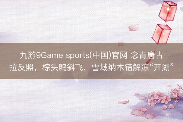 九游9Game sports(中国)官网 念青唐古拉反照，棕头鸥斜飞，雪域纳木错解冻“开湖”