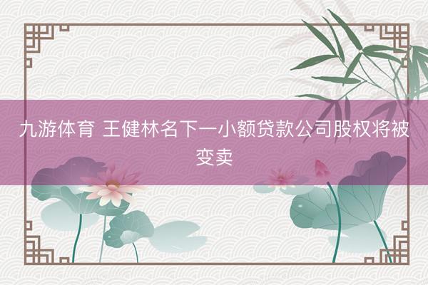 九游体育 王健林名下一小额贷款公司股权将被变卖