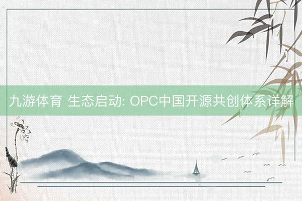 九游体育 生态启动: OPC中国开源共创体系详解