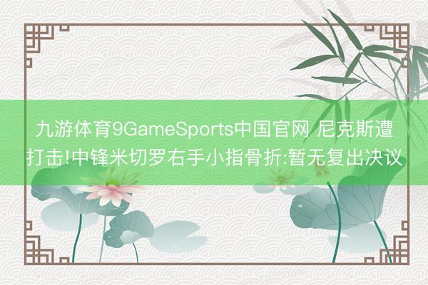 九游体育9GameSports中国官网 尼克斯遭打击!中锋米切罗右手小指骨折:暂无复出决议