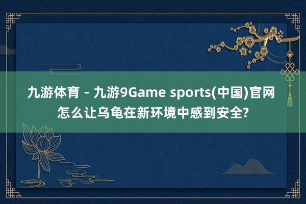 九游体育 - 九游9Game sports(中国)官网 怎么让乌龟在新环境中感到安全?