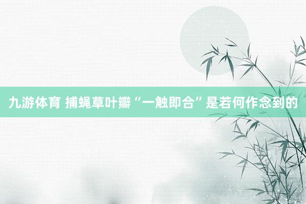 九游体育 捕蝇草叶瓣“一触即合”是若何作念到的